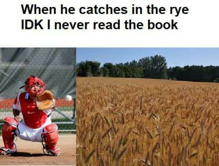 99 Funny And Witty Memes About Reading That Might Inspire You To Open A Book 99 Funny And Witty Memes About Reading That Might Inspire You To Open A Book
