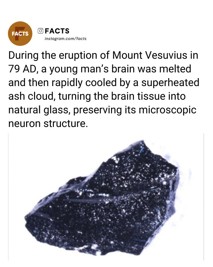 “Enlighten Yourself”: 65 Interesting Facts For Yorur Daily Brain-Care (New Facts) “Enlighten Yourself”: 65 Interesting Facts For Yorur Daily Brain-Care (New Facts)