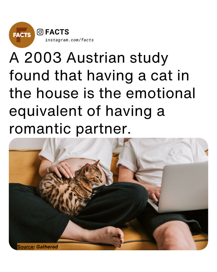 “Enlighten Yourself”: 65 Interesting Facts For Yorur Daily Brain-Care (New Facts) “Enlighten Yourself”: 65 Interesting Facts For Yorur Daily Brain-Care (New Facts)