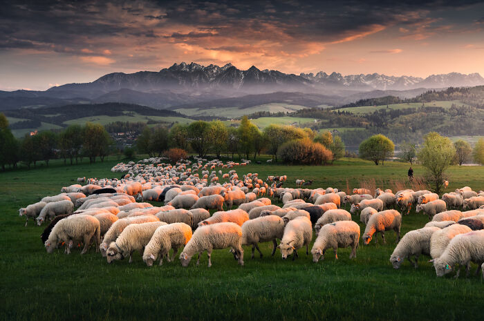 This Photographer Spent Years Chasing Light In Poland&rsquo;s Mountains, And These 42 Photos Show Why