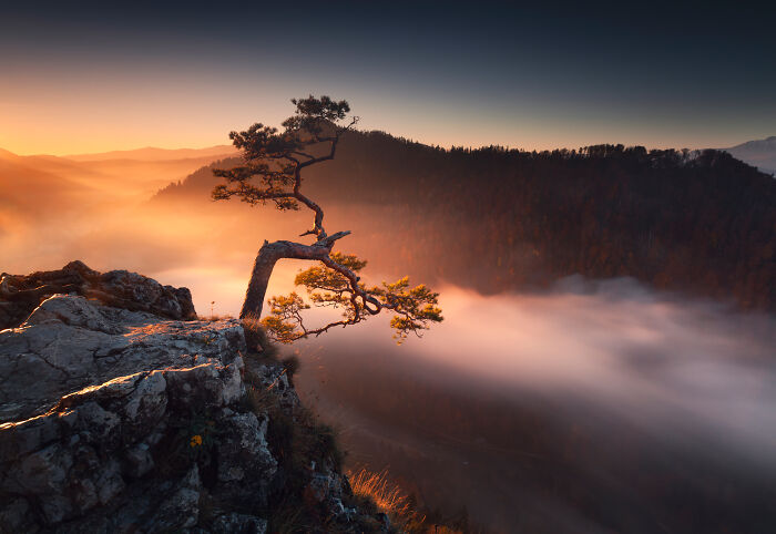 This Photographer Spent Years Chasing Light In Poland&rsquo;s Mountains, And These 42 Photos Show Why