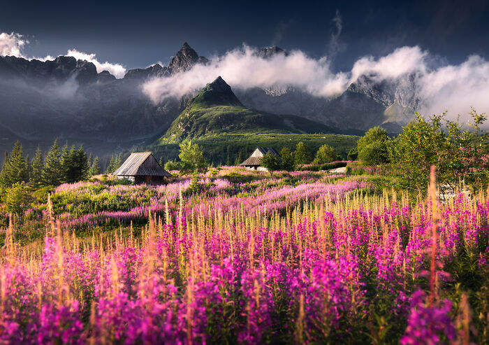 This Photographer Spent Years Chasing Light In Poland&rsquo;s Mountains, And These 42 Photos Show Why