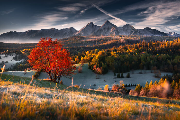 This Photographer Spent Years Chasing Light In Poland&rsquo;s Mountains, And These 42 Photos Show Why