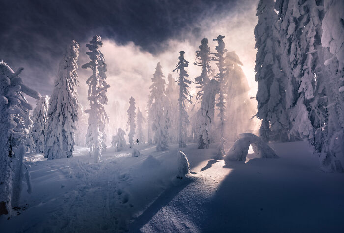 This Photographer Spent Years Chasing Light In Poland&rsquo;s Mountains, And These 42 Photos Show Why