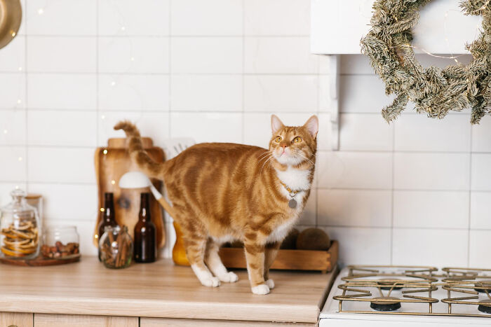 From Disgusting To Bizarre, Here Are 33 Of The Worst Things People Spotted In Someone’s Home From Disgusting To Bizarre, Here Are 33 Of The Worst Things People Spotted In Someone’s Home