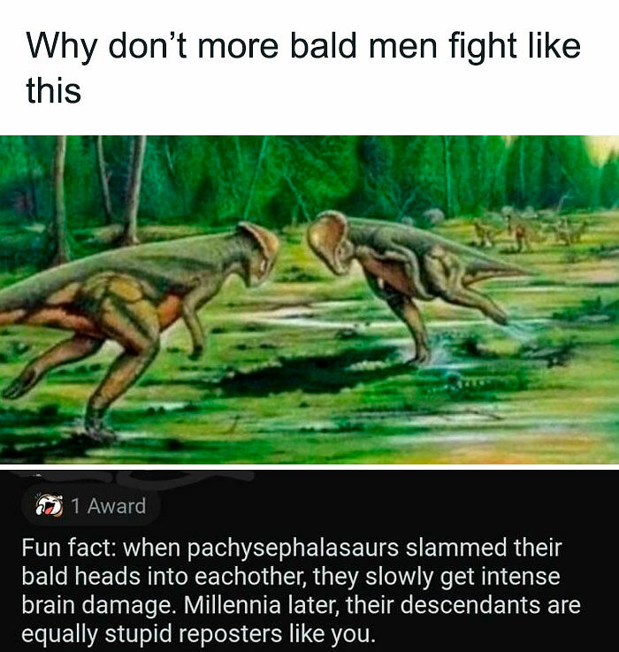 111 Epic Burns That Turned Insults Into High Art (New Pics) 111 Epic Burns That Turned Insults Into High Art (New Pics)