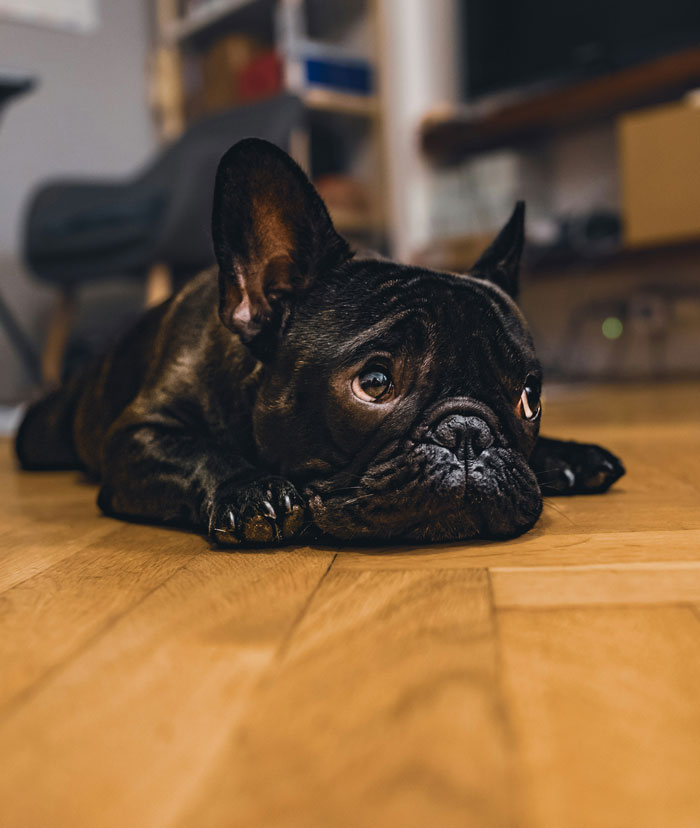 41 MILs Who Went Off Their Meds And Turned March Into A Nightmare For Everyone