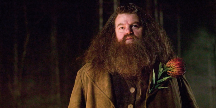 Robbie Coltrane as Rubeus Hagrid in Harry Potter