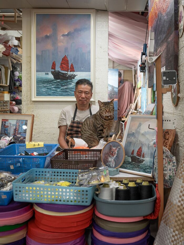 Stray Cats Embracing City Life, As Captured Through The Lens Of This Photographer (40 New Pics)