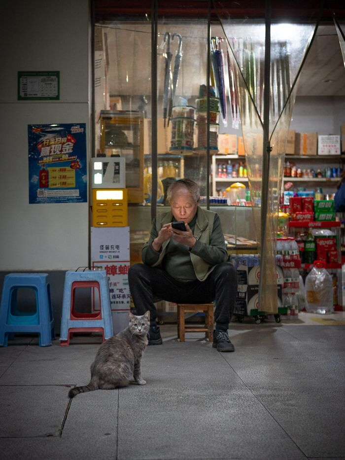 Stray Cats Embracing City Life, As Captured Through The Lens Of This Photographer (40 New Pics)