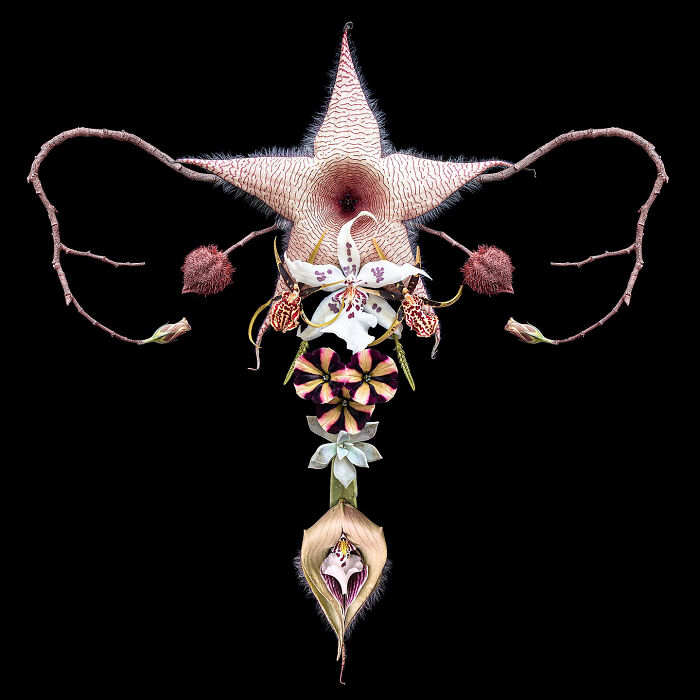 From Flowers To Resistance: 37 Mesmerizing Artworks By This Brazilian Artist About The Female Body