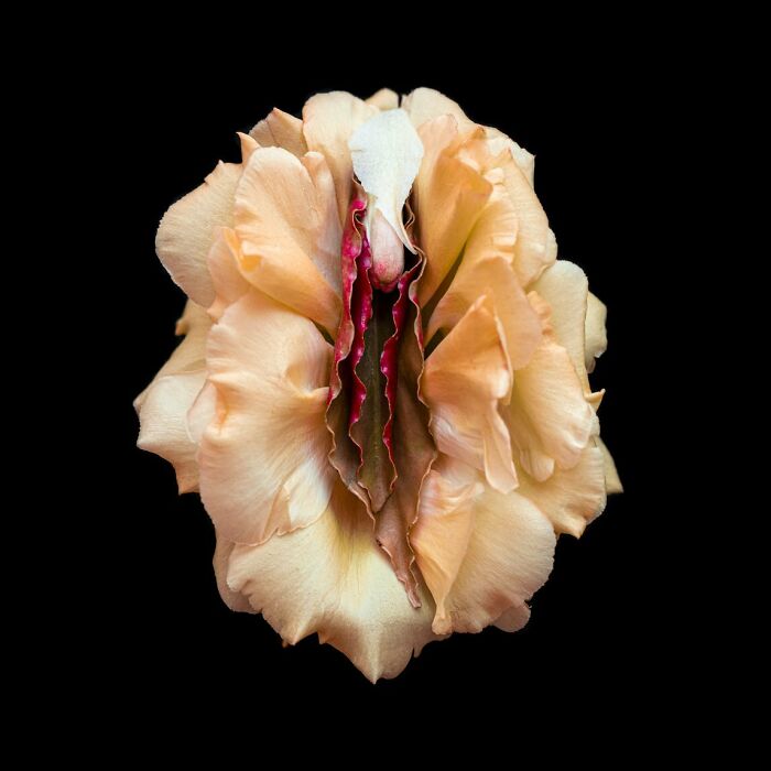 From Flowers To Resistance: 37 Mesmerizing Artworks By This Brazilian Artist About The Female Body