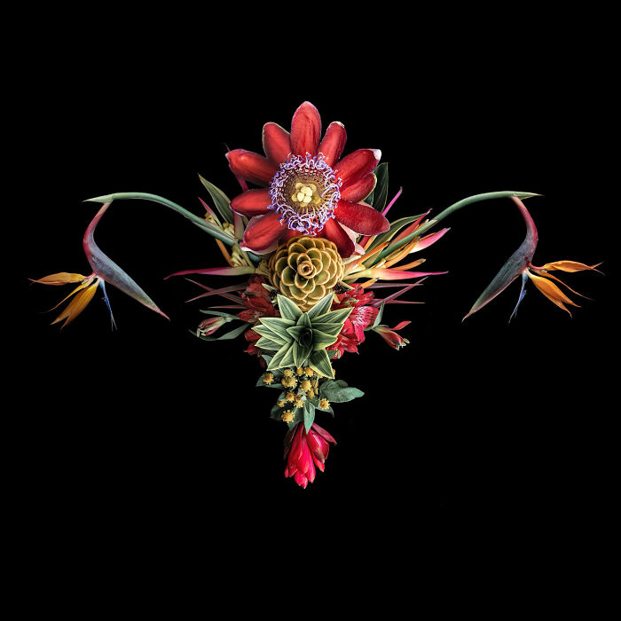 From Flowers To Resistance: 37 Mesmerizing Artworks By This Brazilian Artist About The Female Body