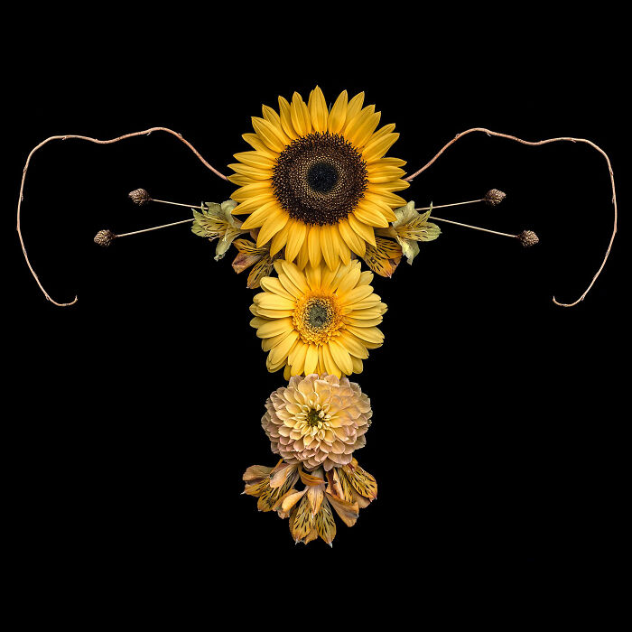 From Flowers To Resistance: 37 Mesmerizing Artworks By This Brazilian Artist About The Female Body