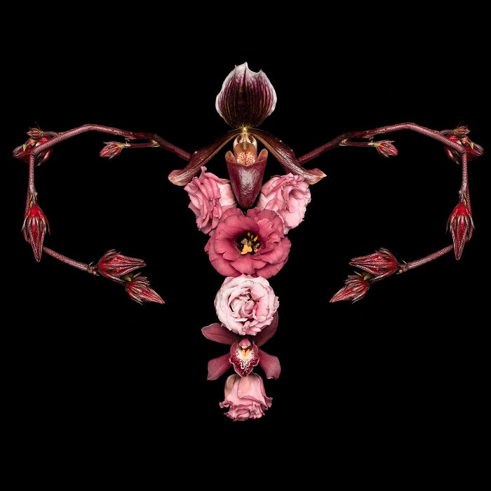 From Flowers To Resistance: 37 Mesmerizing Artworks By This Brazilian Artist About The Female Body