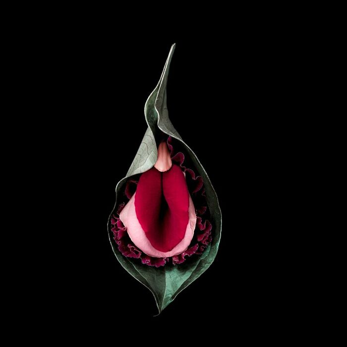 From Flowers To Resistance: 37 Mesmerizing Artworks By This Brazilian Artist About The Female Body