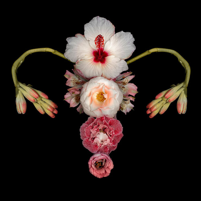 From Flowers To Resistance: 37 Mesmerizing Artworks By This Brazilian Artist About The Female Body