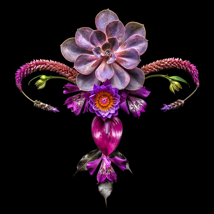 From Flowers To Resistance: 37 Mesmerizing Artworks By This Brazilian Artist About The Female Body