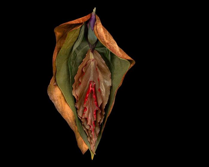 From Flowers To Resistance: 37 Mesmerizing Artworks By This Brazilian Artist About The Female Body