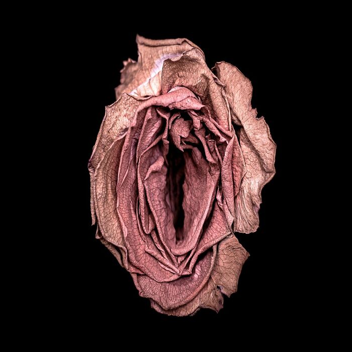 From Flowers To Resistance: 37 Mesmerizing Artworks By This Brazilian Artist About The Female Body