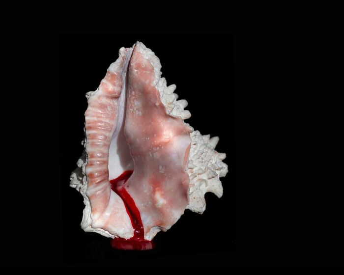 From Flowers To Resistance: 37 Mesmerizing Artworks By This Brazilian Artist About The Female Body