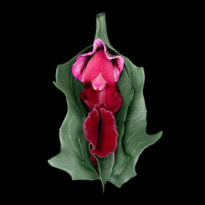 From Flowers To Resistance: 37 Mesmerizing Artworks By This Brazilian Artist About The Female Body