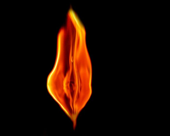 From Flowers To Resistance: 37 Mesmerizing Artworks By This Brazilian Artist About The Female Body