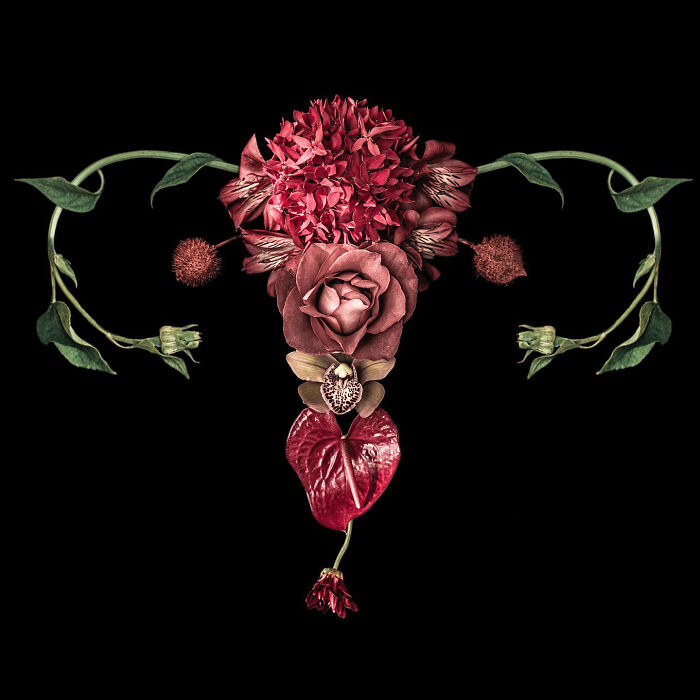 From Flowers To Resistance: 37 Mesmerizing Artworks By This Brazilian Artist About The Female Body