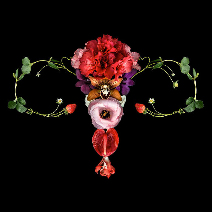 From Flowers To Resistance: 37 Mesmerizing Artworks By This Brazilian Artist About The Female Body