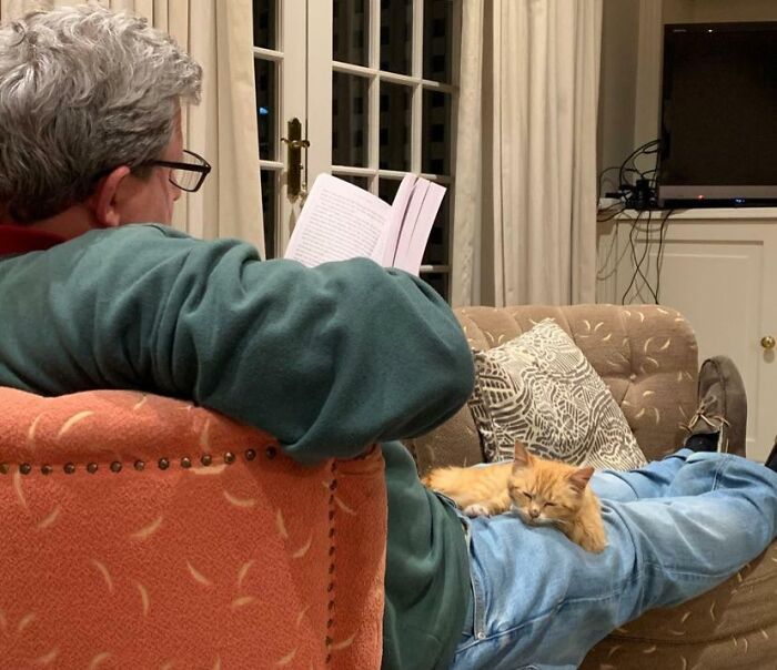 68 Dads And The Pets They Swore They Never Wanted But Now Absolutely Love