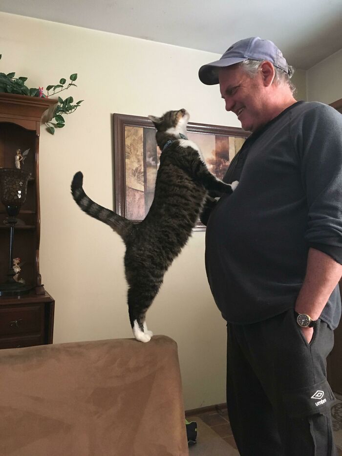 68 Dads And The Pets They Swore They Never Wanted But Now Absolutely Love