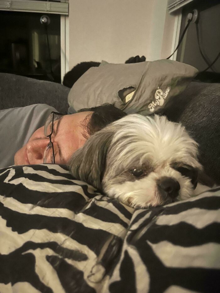 68 Dads And The Pets They Swore They Never Wanted But Now Absolutely Love