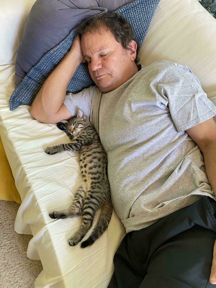 68 Dads And The Pets They Swore They Never Wanted But Now Absolutely Love