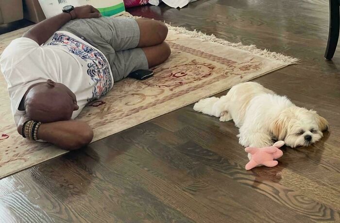 68 Dads And The Pets They Swore They Never Wanted But Now Absolutely Love