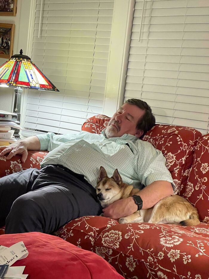 68 Dads And The Pets They Swore They Never Wanted But Now Absolutely Love