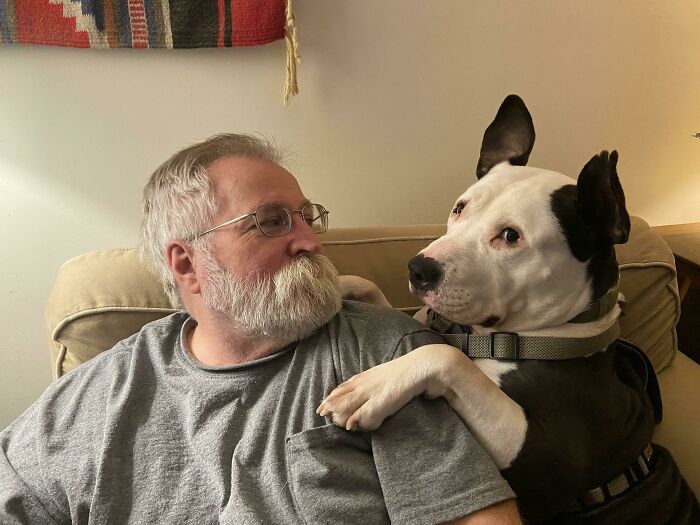 68 Dads And The Pets They Swore They Never Wanted But Now Absolutely Love