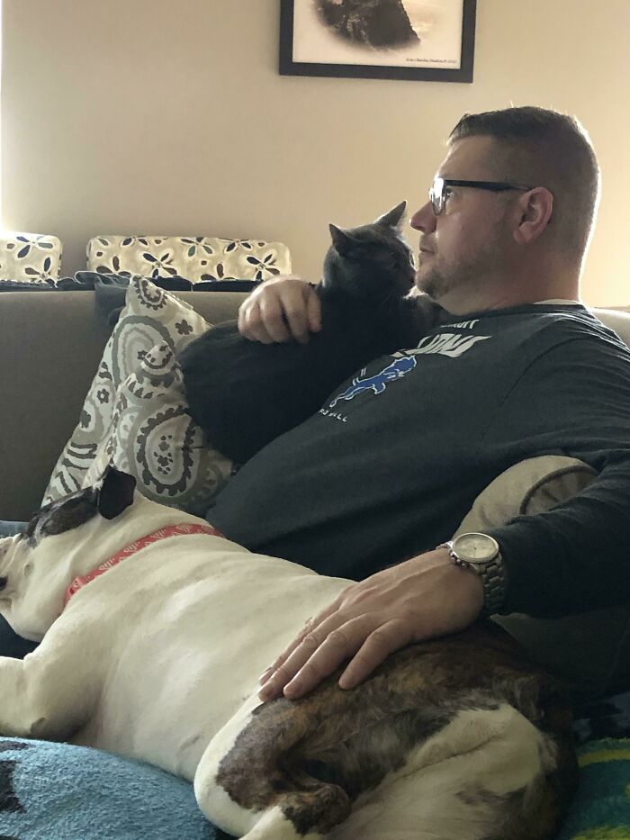 68 Dads And The Pets They Swore They Never Wanted But Now Absolutely Love