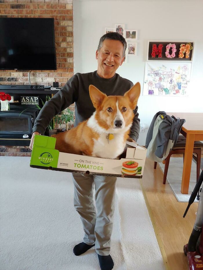 68 Dads And The Pets They Swore They Never Wanted But Now Absolutely Love