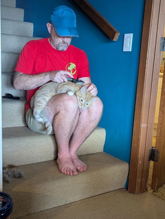 68 Dads And The Pets They Swore They Never Wanted But Now Absolutely Love