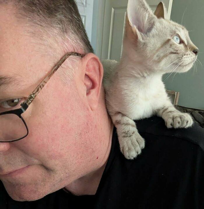 68 Dads And The Pets They Swore They Never Wanted But Now Absolutely Love