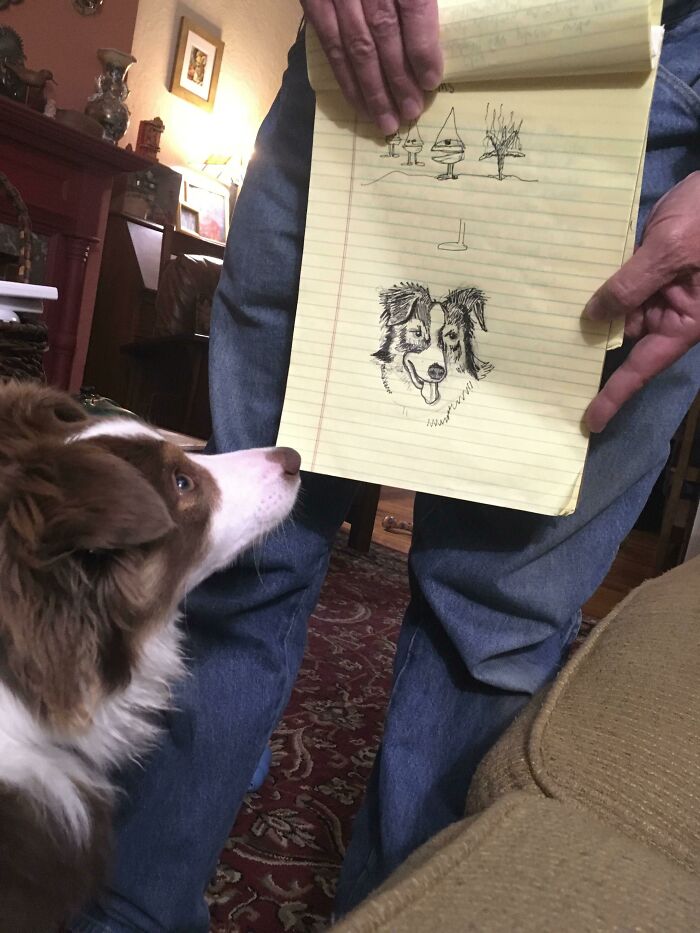 68 Dads And The Pets They Swore They Never Wanted But Now Absolutely Love