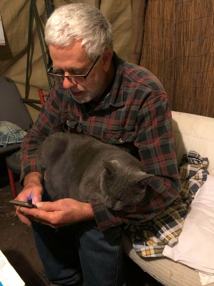 68 Dads And The Pets They Swore They Never Wanted But Now Absolutely Love