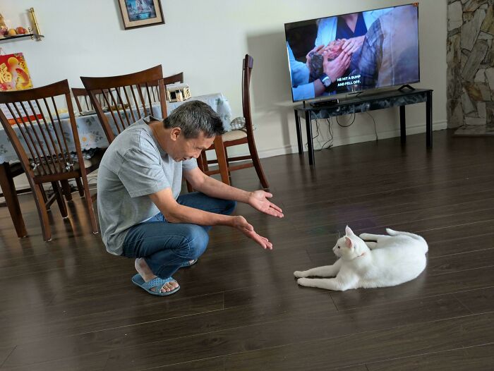 68 Dads And The Pets They Swore They Never Wanted But Now Absolutely Love