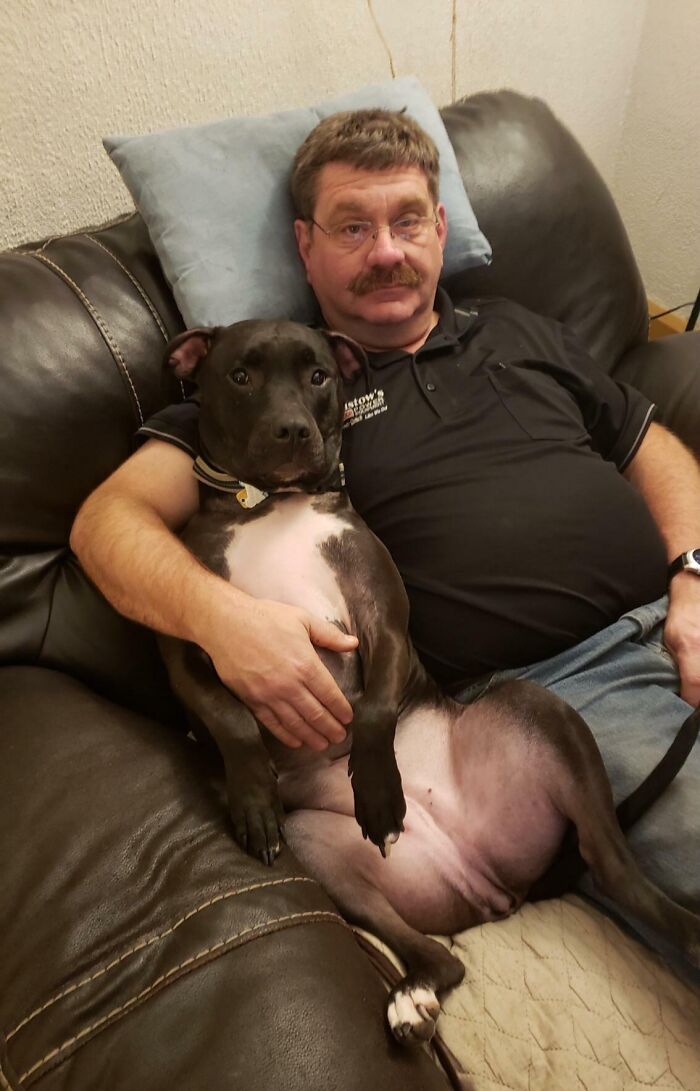 68 Dads And The Pets They Swore They Never Wanted But Now Absolutely Love