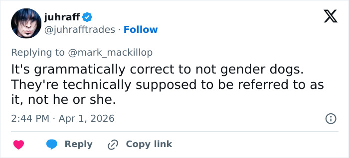 “Our Progressive Queen”: JK Rowling Trolled Over Trans Views After Fans Notice Ironic Detail In Recent Post