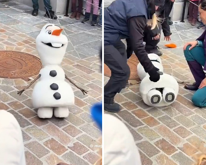 Disney Park Guests Watch In Horror As Rapunzel Attacked By Crows Days After Viral Olaf Malfunction