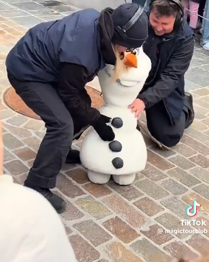 Disney Park Guests Watch In Horror As Rapunzel Attacked By Crows Days After Viral Olaf Malfunction