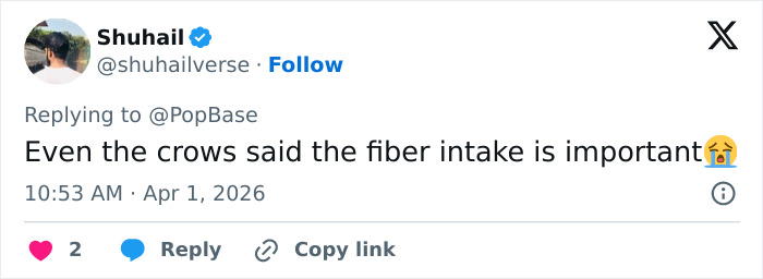 Disney Park Guests Watch In Horror As Rapunzel Attacked By Crows Days After Viral Olaf Malfunction