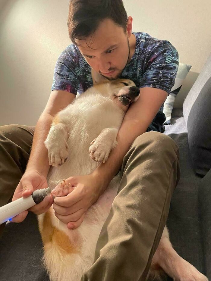 61 Hilariously Dramatic Pets Who Belong In Hollywood