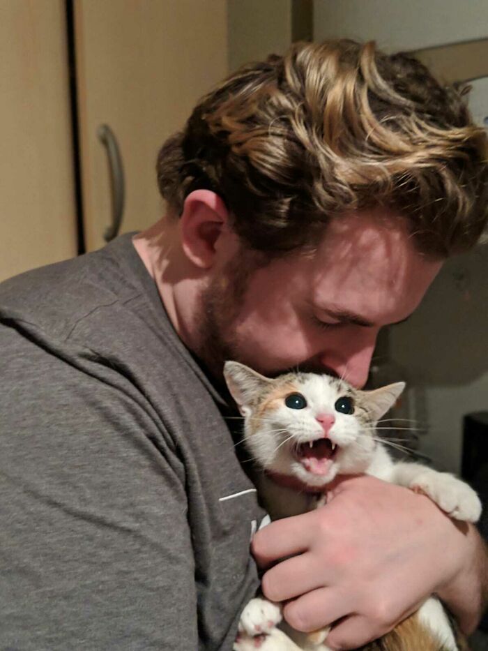 61 Hilariously Dramatic Pets Who Belong In Hollywood